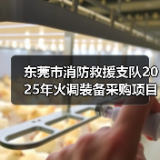 东莞市消防救援支队2025年火调装备采购项目遴选公告（图4）