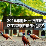 2016年池州一级注册消防工程师资格考试报名时间通知(图3) 2016年池州一级注册消防工程师资格考试报名时间通知(图3)