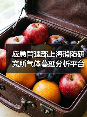 应急管理部上海消防研究所气体蔓延分析平台项目公开招标公告(图1) 应急管理部上海消防研究所气体蔓延分析平台项目公开招标公告(图1)