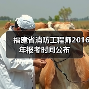 福建省消防工程师2016年报考时间公布(图3) 福建省消防工程师2016年报考时间公布(图3)