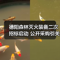 德阳森林灭火装备二次招标启动 公开采购引关注(图1) 德阳森林灭火装备二次招标启动 公开采购引关注(图1)