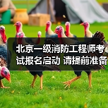 北京一级消防工程师考试报名启动 请提前准备资料（图2）