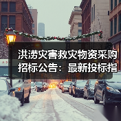 洪涝灾害救灾物资采购招标公告:最新投标指南与采购信息(图4) 洪涝灾害救灾物资采购招标公告:最新投标指南与采购信息(图4)