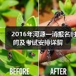 2016年河源一消报名时间及考试安排详解(图2) 2016年河源一消报名时间及考试安排详解(图2)