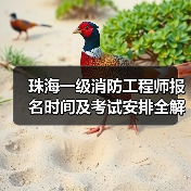 珠海一级消防工程师报名时间及考试安排全解析(图4) 珠海一级消防工程师报名时间及考试安排全解析(图4)