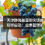 天津静海基层防灾项目招标启动:应急管理能力提升新举措(图1) 天津静海基层防灾项目招标启动:应急管理能力提升新举措(图1)