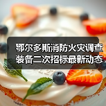 鄂尔多斯消防火灾调查装备二次招标最新动态解析(图1) 鄂尔多斯消防火灾调查装备二次招标最新动态解析(图1)