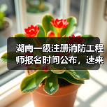 湖南一级注册消防工程师报名时间公布,速来查看!(图3) 湖南一级注册消防工程师报名时间公布,速来查看!(图3)