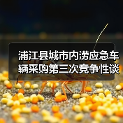 浦江县城市内涝应急车辆采购第三次竞争性谈判公告(图2) 浦江县城市内涝应急车辆采购第三次竞争性谈判公告(图2)