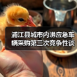 浦江县城市内涝应急车辆采购第三次竞争性谈判公告(图3) 浦江县城市内涝应急车辆采购第三次竞争性谈判公告(图3)