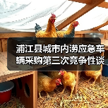 浦江县城市内涝应急车辆采购第三次竞争性谈判公告(图1) 浦江县城市内涝应急车辆采购第三次竞争性谈判公告(图1)