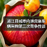 浦江县城市内涝应急车辆采购第三次竞争性谈判公告(图4) 浦江县城市内涝应急车辆采购第三次竞争性谈判公告(图4)