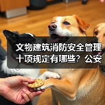文物建筑消防安全管理十项规定有哪些?公安部详解(图1) 文物建筑消防安全管理十项规定有哪些?公安部详解(图1)