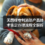 无国标专利消防产品技术鉴定办理流程全解析(图2) 无国标专利消防产品技术鉴定办理流程全解析(图2)