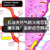 石油天然气防火规范暂缓实施?最新动态解读(图4) 石油天然气防火规范暂缓实施?最新动态解读(图4)