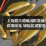 上海首次明确消防装备保障标准 破解区域配置不均难题（图1）