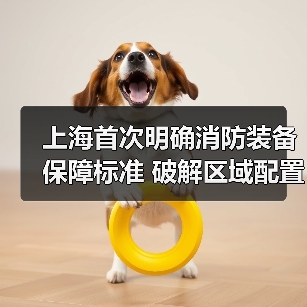 上海首次明确消防装备保障标准 破解区域配置不均难题（图3）