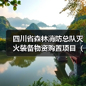 四川省森林消防总队灭火装备物资购置项目(二次)公开招标采购公告(图2) 四川省森林消防总队灭火装备物资购置项目(二次)公开招标采购公告(图2)