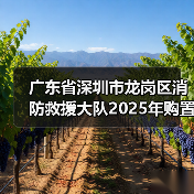 广东省深圳市龙岗区消防救援大队2025年购置消防车行车记录仪设备采购项目遴选公告(图1) 广东省深圳市龙岗区消防救援大队2025年购置消防车行车记录仪设备采购项目遴选公告(图1)