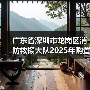 广东省深圳市龙岗区消防救援大队2025年购置消防车行车记录仪设备采购项目遴选公告(图4) 广东省深圳市龙岗区消防救援大队2025年购置消防车行车记录仪设备采购项目遴选公告(图4)