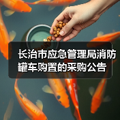 长治市应急管理局消防罐车购置的采购公告(图2) 长治市应急管理局消防罐车购置的采购公告(图2)