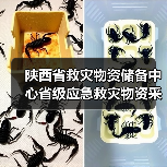 陕西省救灾物资储备中心省级应急救灾物资采购1招标公告(图2) 陕西省救灾物资储备中心省级应急救灾物资采购1招标公告(图2)