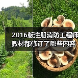 2016版注册消防工程师教材都修订了哪些内容?(图1) 2016版注册消防工程师教材都修订了哪些内容?(图1)
