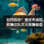如何投标？重庆市消防救援总队灭火救援装备采购需求公示（图2）