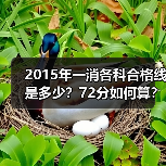 2015年一消各科合格线是多少?72分如何算?(图3) 2015年一消各科合格线是多少?72分如何算?(图3)