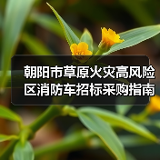 朝阳市草原火灾高风险区消防车招标采购指南(图4) 朝阳市草原火灾高风险区消防车招标采购指南(图4)