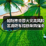 朝阳市草原火灾高风险区消防车招标采购指南(图2) 朝阳市草原火灾高风险区消防车招标采购指南(图2)