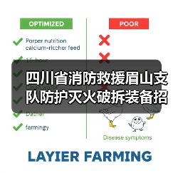 四川省消防救援眉山支队防护灭火破拆装备招标公告来了!(图2) 四川省消防救援眉山支队防护灭火破拆装备招标公告来了!(图2)