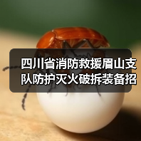 四川省消防救援眉山支队防护灭火破拆装备招标公告来了!(图4) 四川省消防救援眉山支队防护灭火破拆装备招标公告来了!(图4)