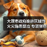 大理市政府推进区域性火灾隐患整治 专项督查机制如何落实？（图2）