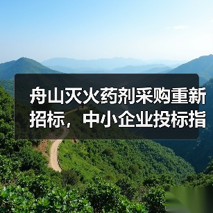 舟山灭火药剂采购重新招标，中小企业投标指南（图4）