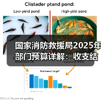 国家消防救援局2025年部门预算详解:收支结构与重点项目解析(图3) 国家消防救援局2025年部门预算详解:收支结构与重点项目解析(图3)