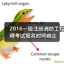 2016一级注册消防工程师考试报名时间确定(图4) 2016一级注册消防工程师考试报名时间确定(图4)