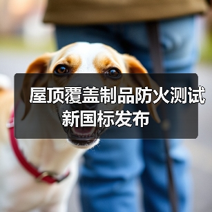 屋顶覆盖制品防火测试新国标发布(图4) 屋顶覆盖制品防火测试新国标发布(图4)
