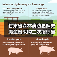 甘肃省森林消防总队救援装备采购二次招标最新动态(图2) 甘肃省森林消防总队救援装备采购二次招标最新动态(图2)