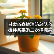 甘肃省森林消防总队救援装备采购二次招标最新动态(图4) 甘肃省森林消防总队救援装备采购二次招标最新动态(图4)