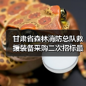 甘肃省森林消防总队救援装备采购二次招标最新动态(图1) 甘肃省森林消防总队救援装备采购二次招标最新动态(图1)
