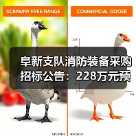 阜新支队消防装备采购招标公告:228万元预算引关注(图3) 阜新支队消防装备采购招标公告:228万元预算引关注(图3)