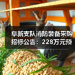阜新支队消防装备采购招标公告:228万元预算引关注(图4) 阜新支队消防装备采购招标公告:228万元预算引关注(图4)