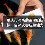 重庆市消防装备采购招标:自然灾害应急能力建设项目启动(图4) 重庆市消防装备采购招标:自然灾害应急能力建设项目启动(图4)