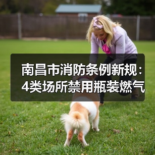 南昌市消防条例新规:4类场所禁用瓶装燃气(图4) 南昌市消防条例新规:4类场所禁用瓶装燃气(图4)