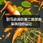 驻马店消防第二批装备采购招标启动(图3) 驻马店消防第二批装备采购招标启动(图3)