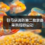 驻马店消防第二批装备采购招标启动(图2) 驻马店消防第二批装备采购招标启动(图2)