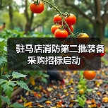 驻马店消防第二批装备采购招标启动(图1) 驻马店消防第二批装备采购招标启动(图1)