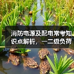 消防电源及配电常考知识点解析,一二级负荷供电要求全掌握(图2) 消防电源及配电常考知识点解析,一二级负荷供电要求全掌握(图2)