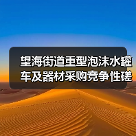 望海街道重型泡沫水罐车及器材采购竞争性磋商公告（图2）